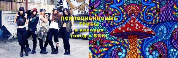 дмт Верхний Тагил
