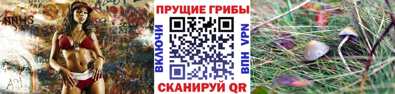 магазин продажи наркотиков  Крым  Галлюциногенные грибы MAGIC MUSHROOMS 